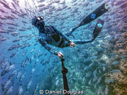 Monday blues @ Sipadan Island, Malaysia by Daniel Douglas 